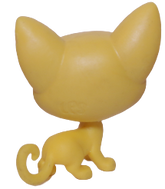 #3-186 Siamese Cat